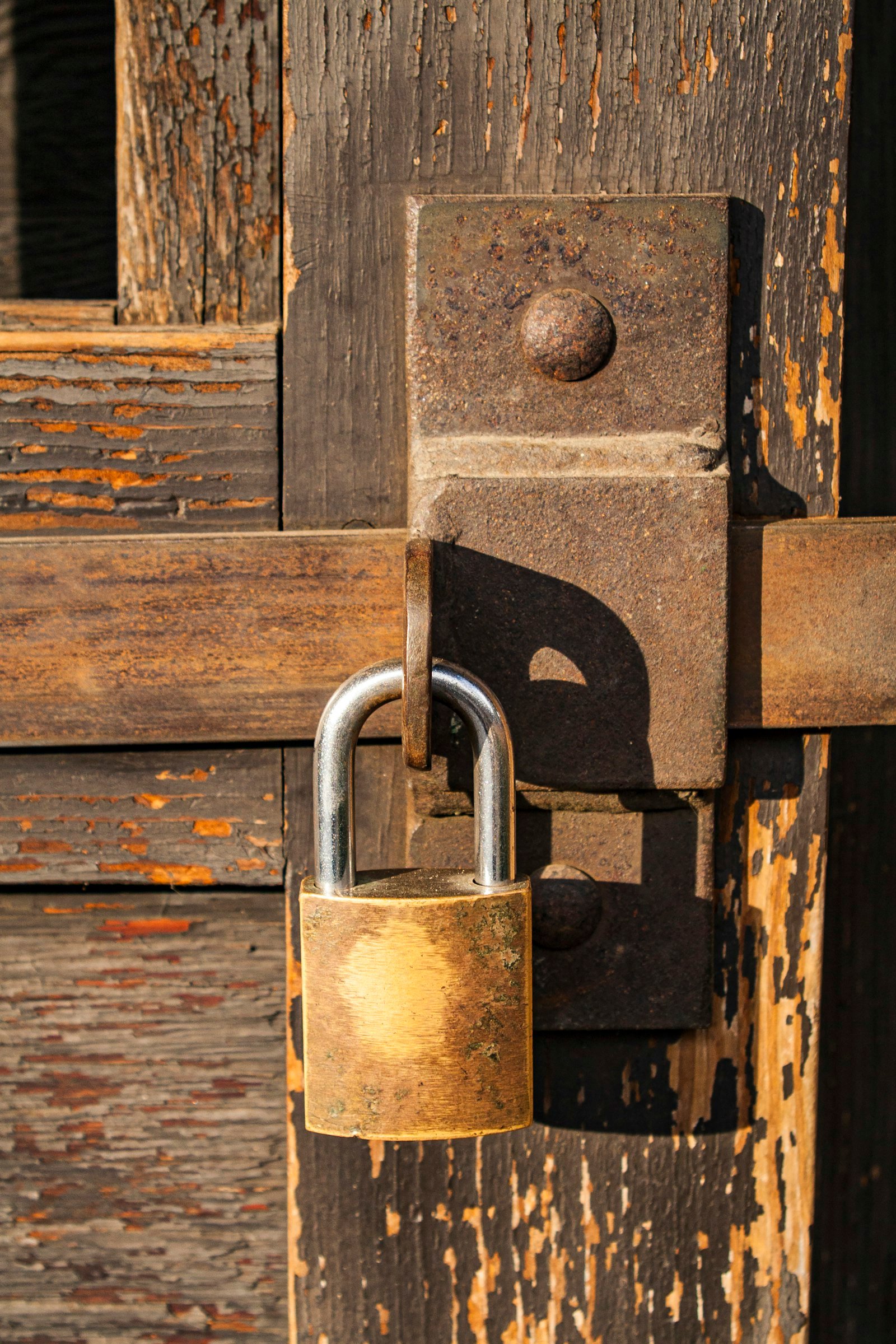 Brass padlock hanging from a latch on a weathered timber gate